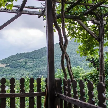 The In Pelion 度假居 Dhrákia