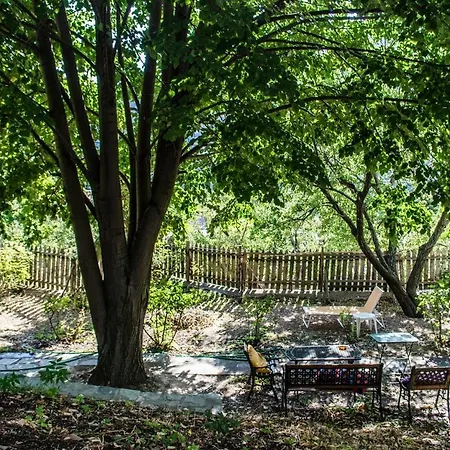 The In Pelion
