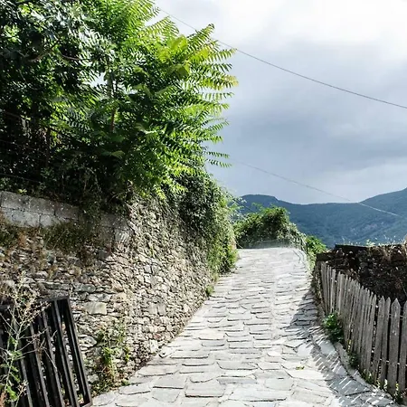 The In Pelion