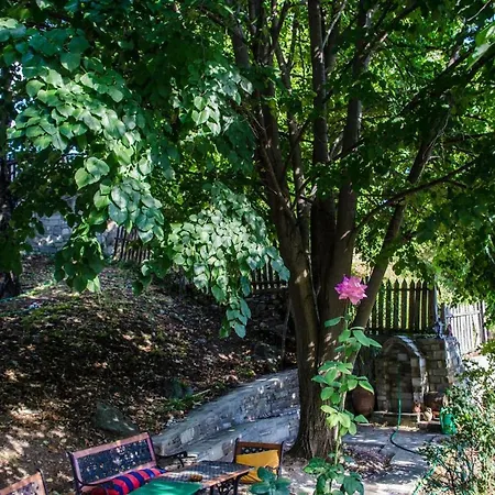 The In Pelion