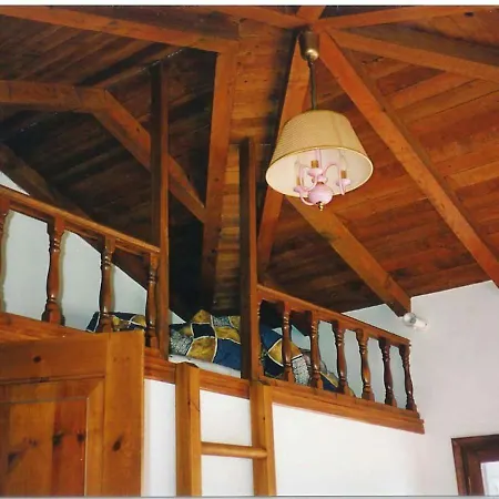The In Pelion *