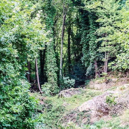 The In Pelion 度假居 *