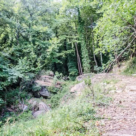 The In Pelion * Dhrákia