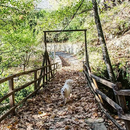 The In Pelion Dhrákia