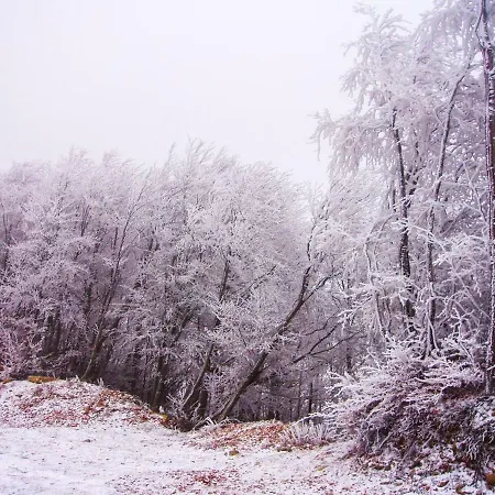 度假居 The In Pelion *